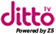 Ditto TV Coupons