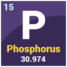Phosphorus Coupons