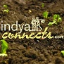 Indyaconnects Coupons